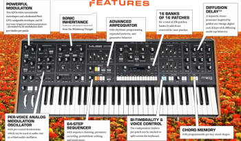 Moog Music MUSE - Image n°4